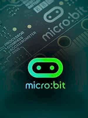 Microbit ile Akıllı Cihaz Tasarımı - 201
