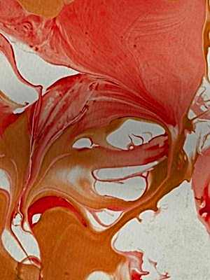 Ebru-202