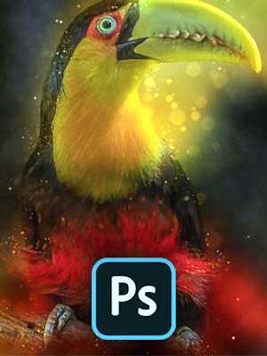 Photoshop ile Görsel Tasarım - 301